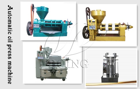 How much is the price of automatic oil press machine?