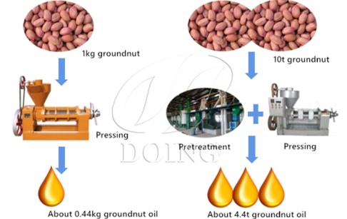 How much oil can be extracted from 1kg groundnuts？