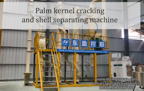 Palm kernel cracking and shell separating machine working process 3D video