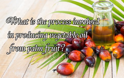 What is the process involved in producing vegetable oil from palm fruit?