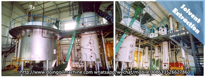 vegetable oil extraction machine