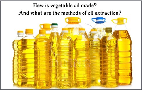 How is vegetable oil made? And what are the methods of oil extraction?