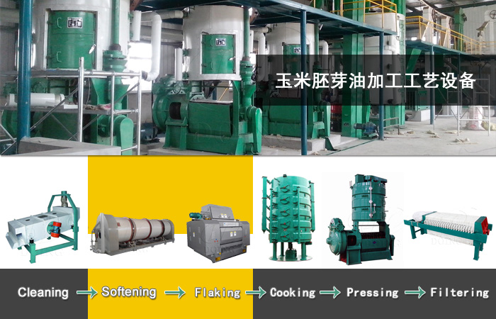 Corn germ oil processing machine