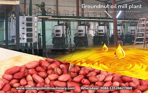 How to start a groundnut oil processing business with limited funds?