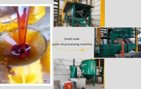 How is palm oil made?