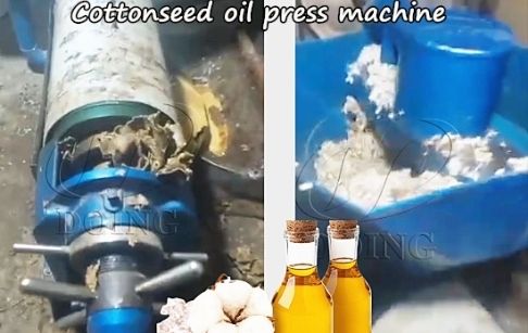 200kg/h cottonseed oil extraction machine feedback video from customers in Tajik...