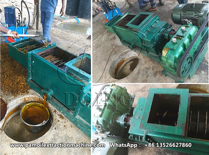 Double screw palm oil press