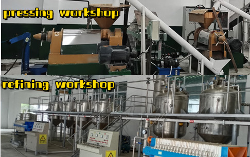 Small scale edible oil processing plant running video