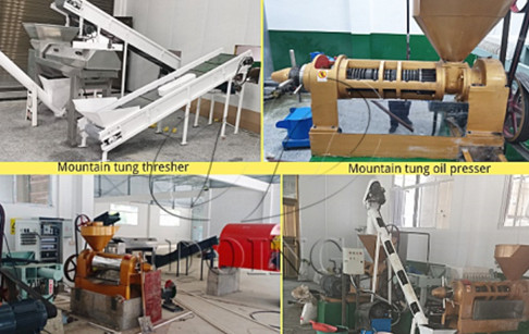 400kg/h mountain tung oil pressing production line project in China