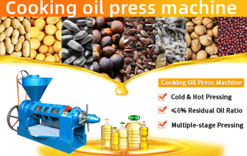 Automatic edible oil expeller running video