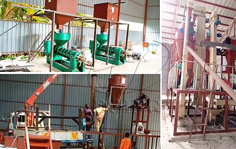 5tph palm nuts production line project and 1tph palm kernel oil press production...