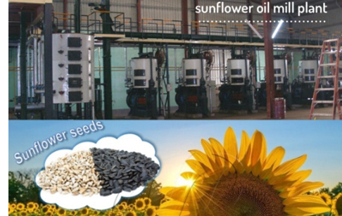 What's the preparatory work for setting up a sunflower seed oil mill plant in Ke...