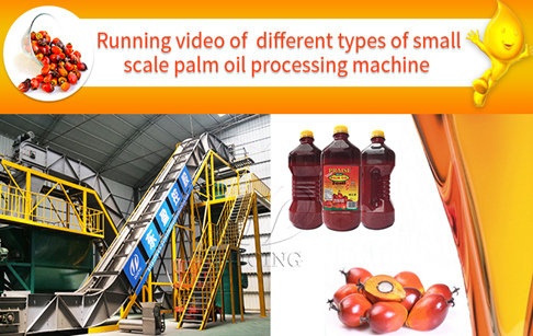 Running video of different types of small scale palm oil press machine