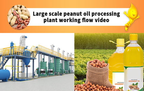 Large scale peanut oil production line video