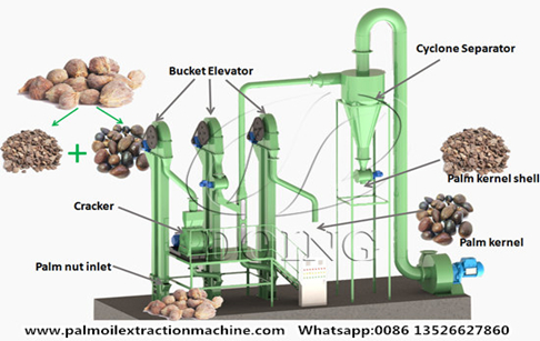 A Lebanese customer purchased 2-3 tons per hour palm kernel husking and separating machine from Henan Glory Company
