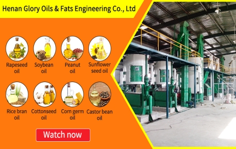 Introduction video of four schemes for cooking oil press production line with ca...