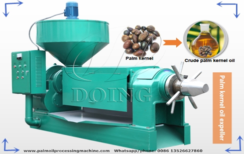 Palm kernel oil extraction machine debugging and running video