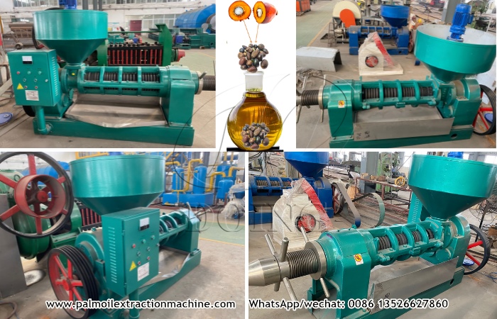 Small palm kernel oil extraction machine.jpg