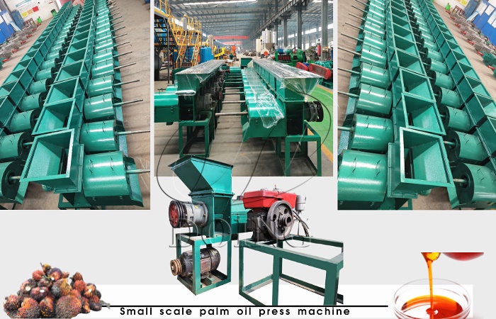 Small scale diesel palm oil expeller in Henan Glory Company’s factory.jpg