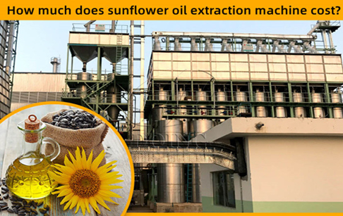 How much does sunflower oil processing machine cost?