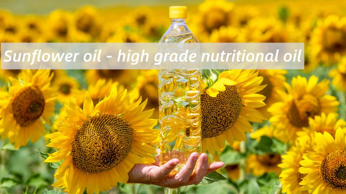 The sunflower oil market has broad prospects.jpg
