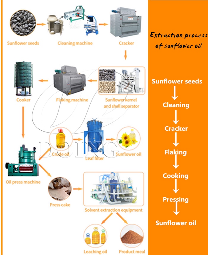 Large scale sunflower oil production line.jpg