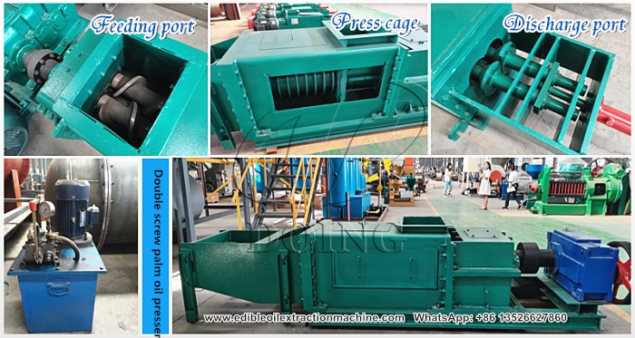twin screw palm oil press