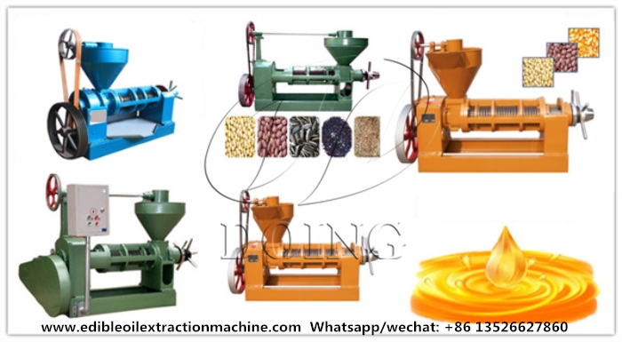 YZYX70 cooking oil making machine.jpg