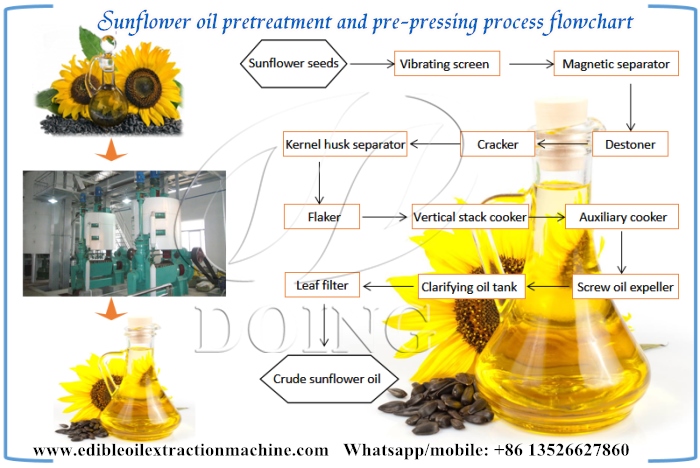 Cold pressed sunflower oil production process.jpg