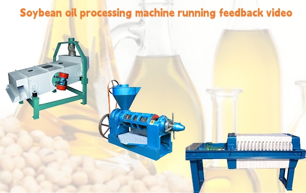 Soybean oil pressing machine running feedback video from Ghana customer