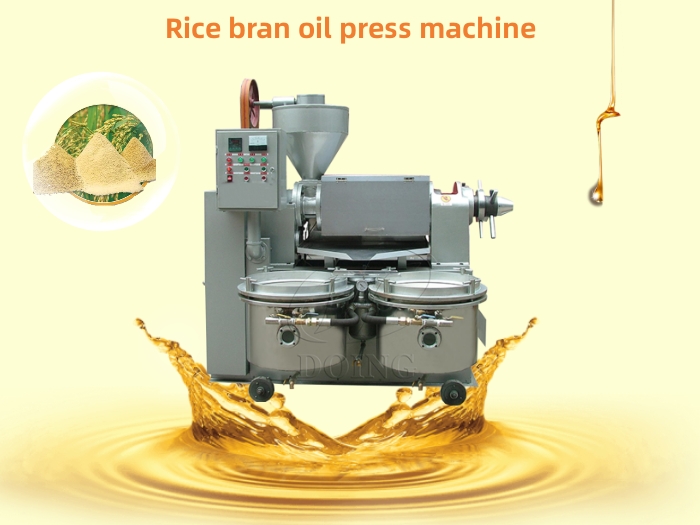 Rice bran oil expeller produced by Henan Glory Company.jpg