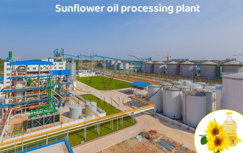 Is it worth investing in an sunflower oil mill plant?