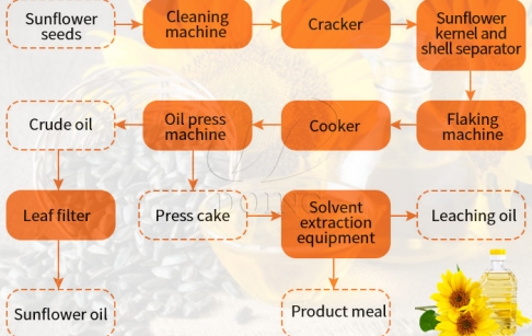 What are the steps involved in the production process of sunflower oil?