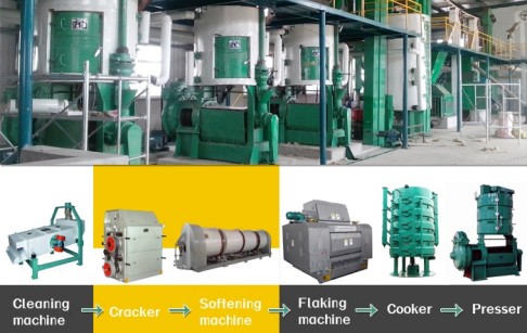 How much does a small to medium scale cooking oil mill plant cost？