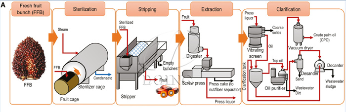 Palm oil processing.jpg