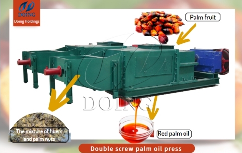 Feedback video of 1tph double screw palm oil expeller from customer in Nigeria