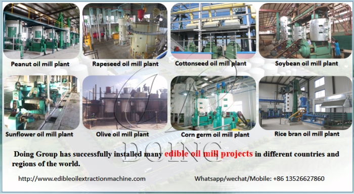 The project case of Henan DOING company