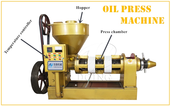 Automatic temperature-controlled oil squeezing machine