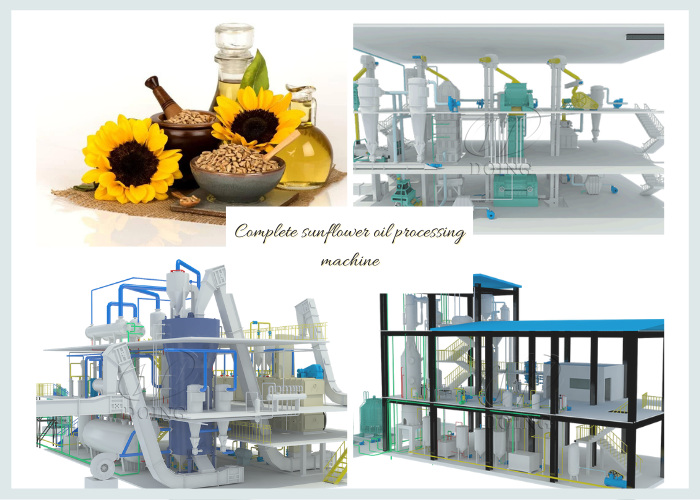 Sunflower oil extraction plant