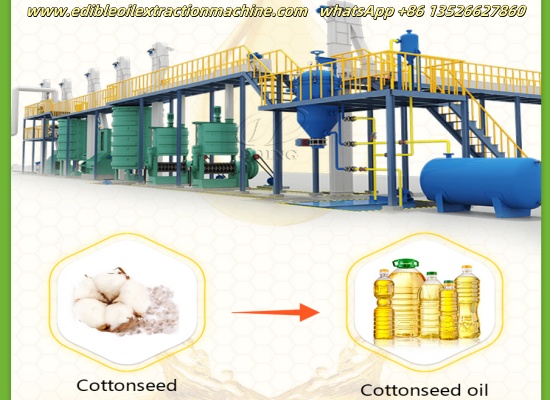 How to set up a complete 20tpd cottonseed oil production unit?