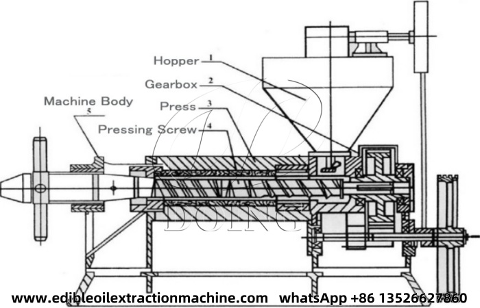 cooking oil presser structure diagram.jpg
