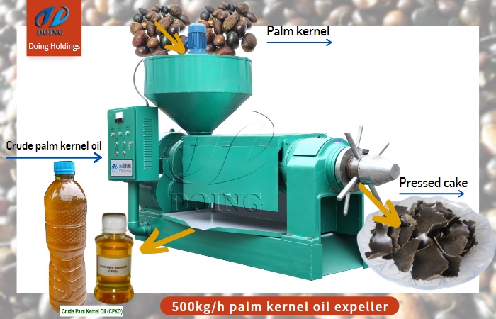 palm kernel oil expeller.jpg