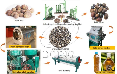 Palm Kernel Oil Production Business Plan