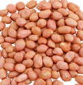 peanut oil machine