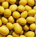 soybean oil machine